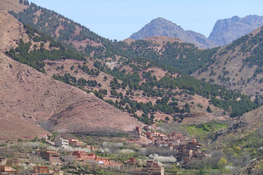 Summit of Talamroute via Tizi n'Tamatert - 3